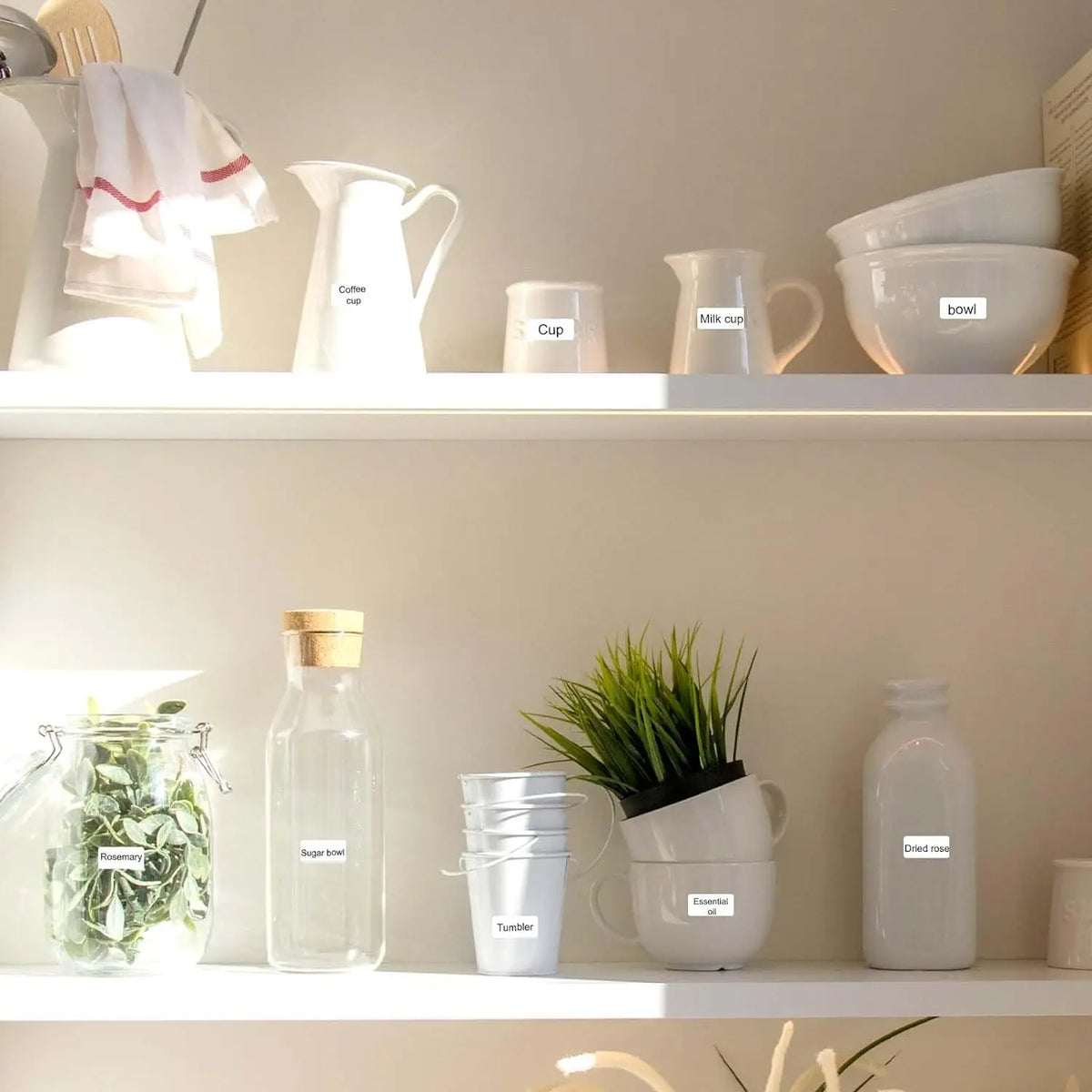 Étagère de cuisine avec pichets, bocaux et plante, chacun portant une étiquette blanche imprimée
