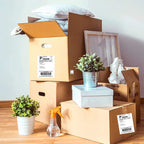 Cartons d'expédition étiquetés empilés sur un parquet, entourés de plantes en pot et d'objets de déménagement
