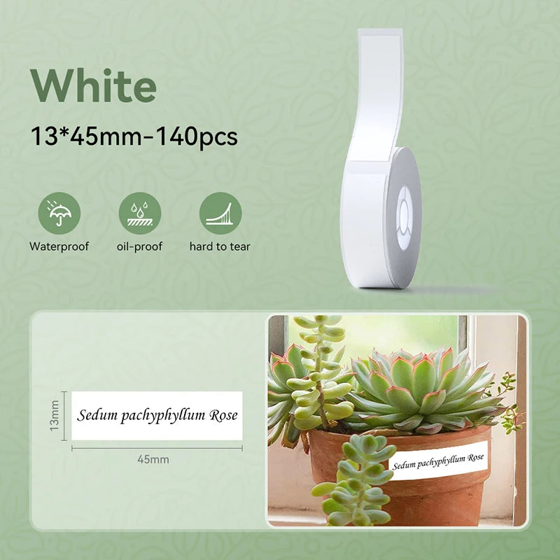 Rouleau d'étiquettes blanches 13 x 45 mm et pot de succulentes portant l'étiquette Sedum pachyphyllum Rose