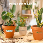 Trois pots de plantes en terre cuite et céramique, chacun portant une étiquette verte collée avec son nom
